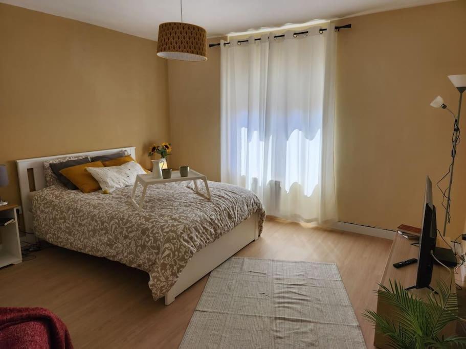 Moderno Apartamento Cerca Del Centro En レオン エクステリア 写真